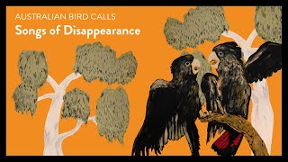 Songs of Disappearance | Australian Bird Calls