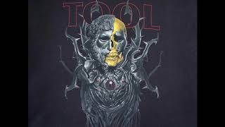 Is TOOL'S NEW ALBUM ROMAN THEMED??