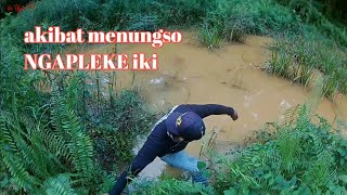 TERNYATA IKAN LEMBATKU DI CURI ORANG 😭😭😭