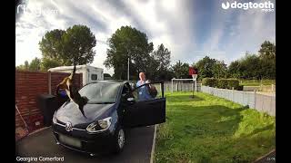 Cat Jumps From BEDROOM WINDOW to Smash Onto Owner's Car || Dogtooth Media