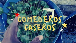 Comederos CASEROS que debes tener en tu proyecto de PECES