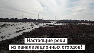 Настоящие реки из канализационных отходов!