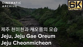 5.1K 저고도 드론영상 제주 천미천과 개오름의 모습 - 시네마틱아카이브