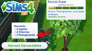 How To Graft & Get Pomegranates (Grafting Plants Guide) - The Sims 4