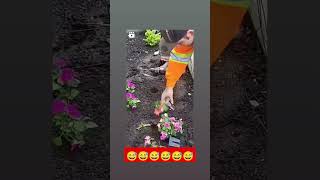 Sadnja Cveća- Bušenje rupa stapom od miksera 🫣🫣🫣🤣🤣🤣🤣🤣🤣 #shortvideo #funny #work