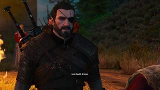 Witcher 3 - Conversation with Ermion at Vesemir's funeral