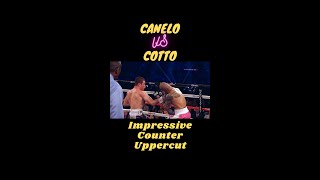 Impressive Counter Uppercut: Canelo vs Cotto #shorts