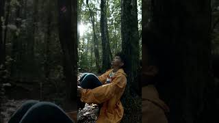 Solitude Amidst the Trees | Nature Enthusiast | #shorts #asmr #oddlysatisfying