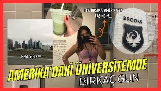 Tek Başıma Amerika'ya Taşındım! Üniversitede Birkaç Gün