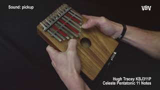 KCJ311P AMI Hugh Tracey - Kalimba Junior Celeste Pentatonic 11 Notes Board-Resonator + Pickup