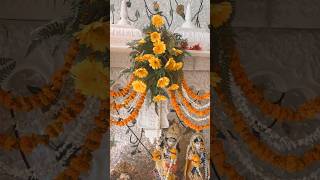 Banke Bihari ♥️#krishnastatus #vrindavan #viralvideo #ytshorts #shorts#shortsfeed