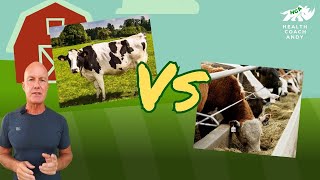 Grass Fed vs Grain Fed Meat and Milk – Pasture Raised Vs Feedlot | Which Meat Is Better?