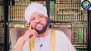 يصلح لانشغال مزمل فقيري بحكم أكل الأخطبوط عن جرائم الدعم السريع في السودان || د/ محمد الأمين إسماعيل