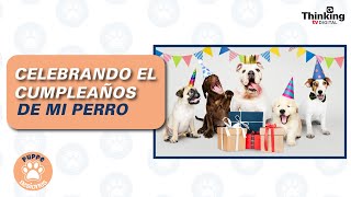 CELEBRANDO EL CUMPLEAÑOS DE MI PERRO | Puppe Sesiones - Edición 17