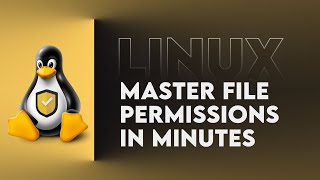 Mastering Linux File Permissions In Minutes - 2024