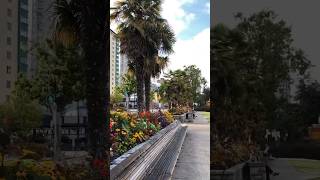 ENGLISH BAY 🏖 VANCOUVER BC 🇨🇦