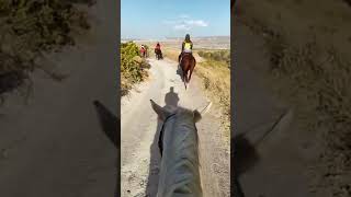 Kapadokya at turu #cappadocia #kapadokya #horseriding #kamp #camping