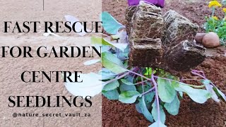 Must-Try Tips for Autumn Garden Rescue, Harvest & Planting #gardening