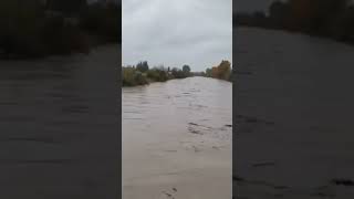 Puyallup River - Milroy Bridge