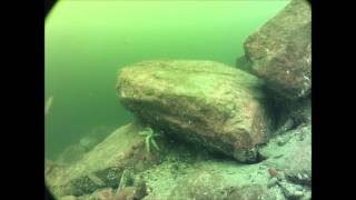 St Catherines, Loch Fyne time lapse October 2012