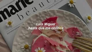 Luis Miguel - hasta que me olvides ✧ letra