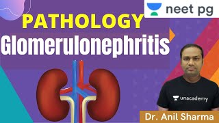 Glomerulonephritis | Unacademy NEET PG 2021 |  Dr. Anil Sharma