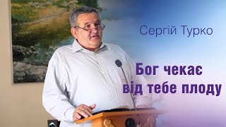 Сергій Турко - Бог чекає від тебе плоду / Свято Подяки / 22.09.2024