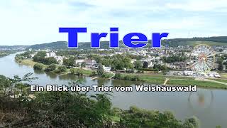 Trier vom Weishauswald