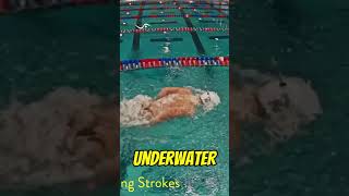 All Strokes:  Stroke Count