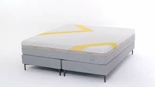 CAMA EUROPEA Forward