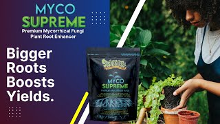 What Makes Trifecta Myco Supreme  Mycorrhizal Fungi Better?