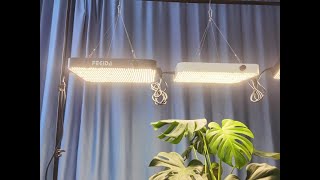 FECiDA CR1200 Grow Lights , what plants are you using it for, Cannabis?