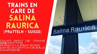 Trains et trafic SBB CFF FFS en gare de PRATTELN - SALINA RAURICA (Bâle - Suisse) - MINI SPOT TRAIN