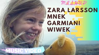 Zara Larsson, MNEK Vs Wiwek Vs Garmiani - Never Forget To Bomb An  Angry Birdz (SLOW FLOW Mashup)