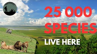 Ngorongoro Crater: Africa's Greatest Natural Wonder