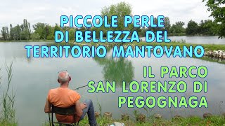 IL PARCO SAN LORENZO DI PEGOGNAGA