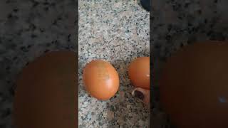 ANG TIBAY TALAGA NITONG BROWN EGG#trendingshorts #viralshortvideo #asmr #viralshorts #viral#trending