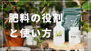 【プロが語る】肥料の役割と使い方 ｜正しい肥料の使い方とは　＃観葉植物　＃インテリア　＃肥料