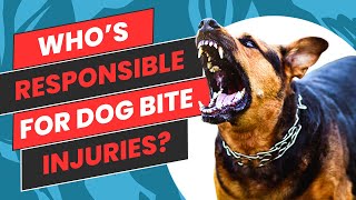 Understanding Your Rights After a Dog Bite Injury