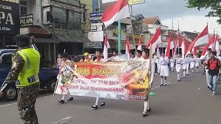 Kirab Budaya, Salatiga