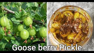 Goose Berry pickle-Quick and Easy