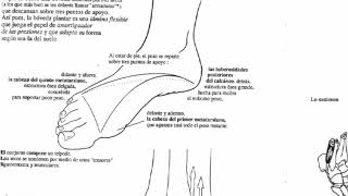 CONSTRUYENDO LA BÓVEDA PLANTAR.