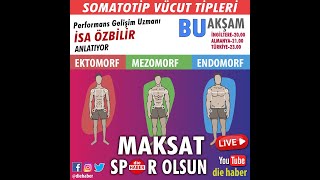 Somatotip vücut tipi ne demek