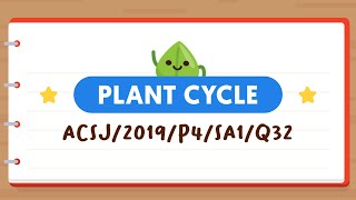 PSLE SCIENCE MADE SIMPLE EP104 | Plant Cycle | Understanding Stems & Flowers 🌼