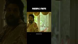 PUSHPA 2 BIGGEST AMEZING FACTS #pushpa2 #facts #mrnext35 #shorts