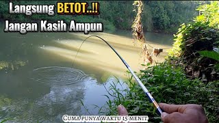 TERLALU KUAT..!! TARIKAN IKAN INI BIKIN PANIK PEMANCING. #mancingtawes #mancing