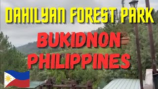 Bukidnon Philippines: Dahilayan Forest Park Resort