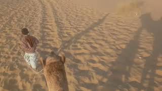 Camel ride in Thar desert