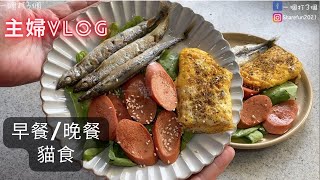 早餐食譜/晚餐吃什麼/麻辣鍋/主婦生活/貓食製作(V137)