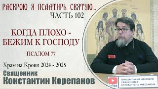 Часть 102 цикла бесед иерея Константина Корепанова "Раскрою я Псалтырь святую..." (28.10.2024)